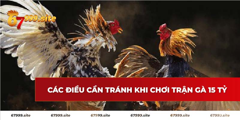 Điều cần tránh khi chơi trận gà 15 tỷ