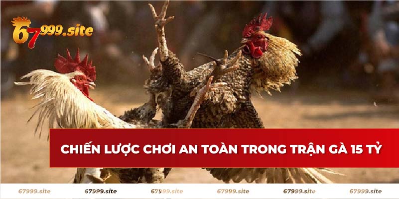 Chiến lược chơi an toàn trong trận gà 15 tỷ