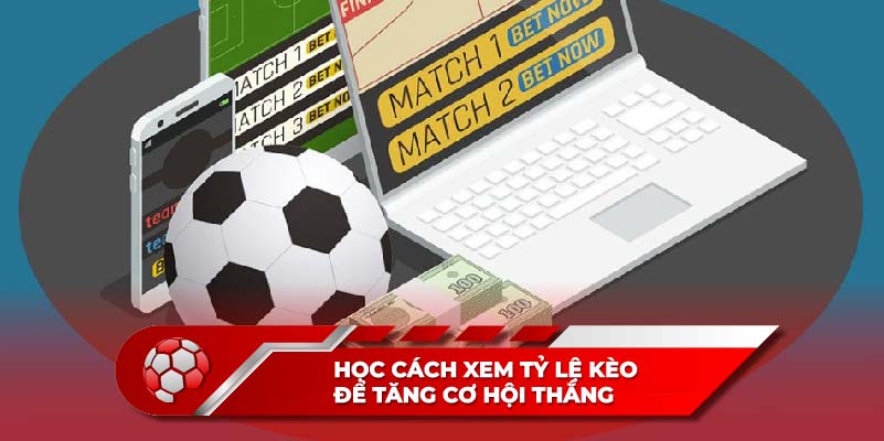 Cùng học cách xem tỷ lệ kèo để tăng cơ hội thắng