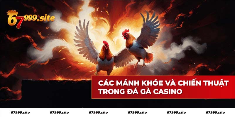 Các mánh khóe và chiến thuật mới mẻ trong đá gà casino