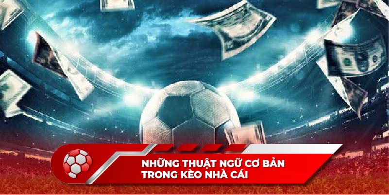 Những thuật ngữ cơ bản để hiểu thêm về kèo nhà cái